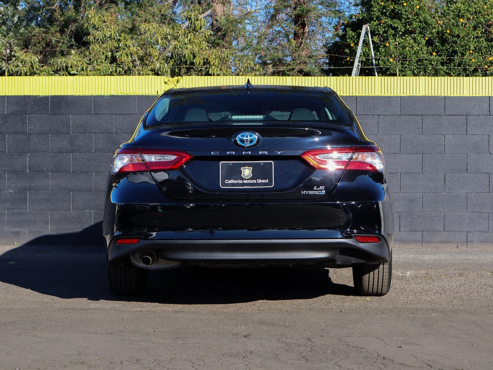 2020 Toyota Camry Gallery Image